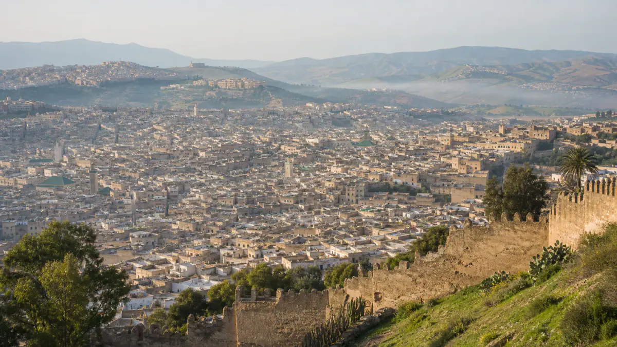 Fes el-Bali medina and historic walls seen from the northern hillside