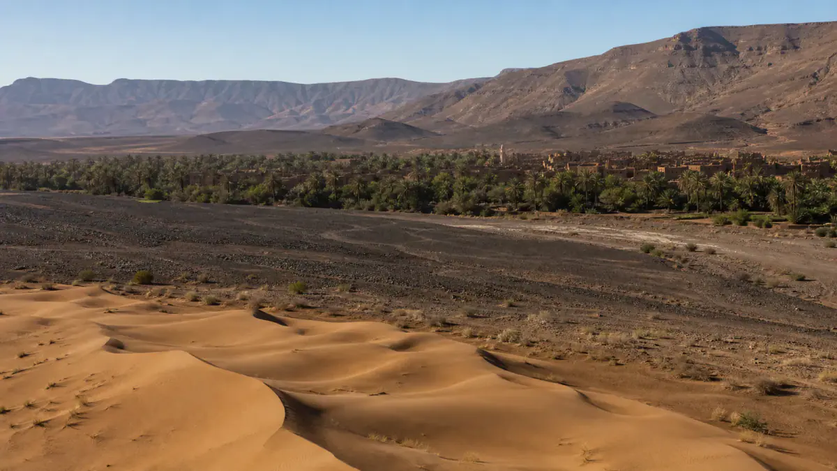 Dunes, stony hamada, oasis palms and mountains in Morocco's desert south