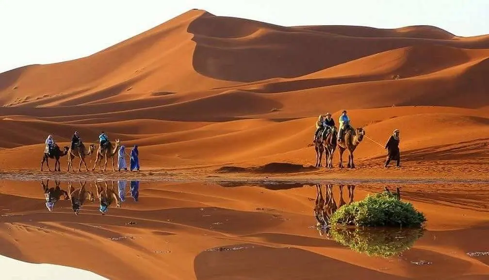 Sahara & Desert, Morocco